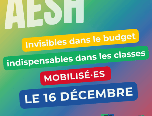 LE 16 DÉCEMBRE: MOBILISE.ES POUR UN VÉRITABLE STATUT POUR LES AESH